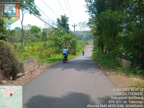 Foto Tahun 2025