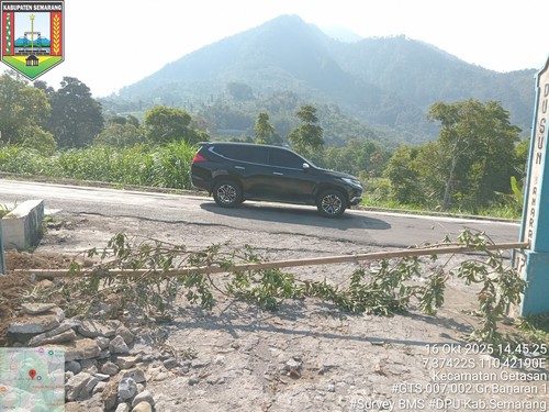 Foto Tahun 2025