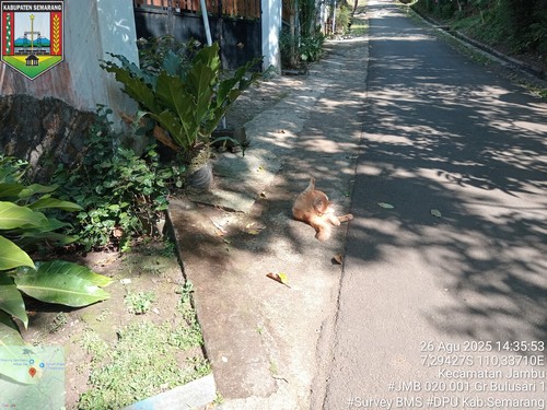 Foto Tahun 2025