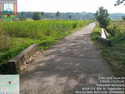 Foto Tahun 2025