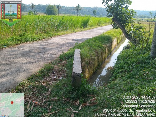 Foto Tahun 2025