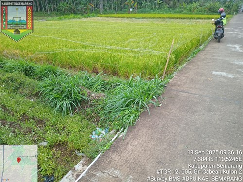 Foto Tahun 2025