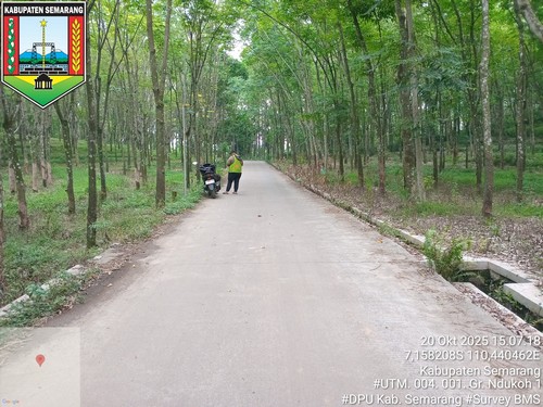 Foto Tahun 2025
