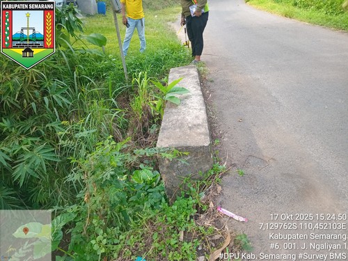 Foto Tahun 2025