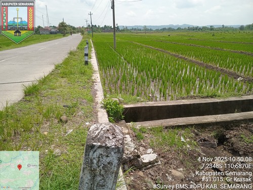 Foto Tahun 2025