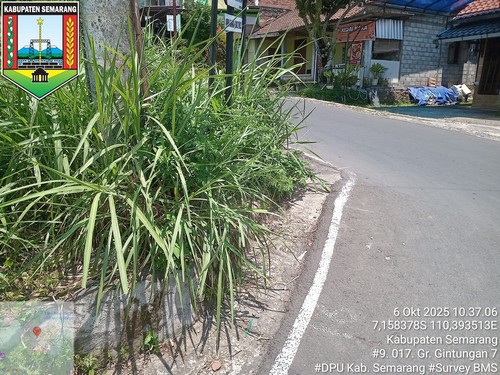 Foto Tahun 2025