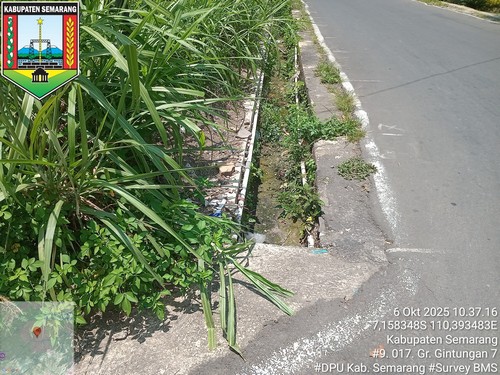 Foto Tahun 2025