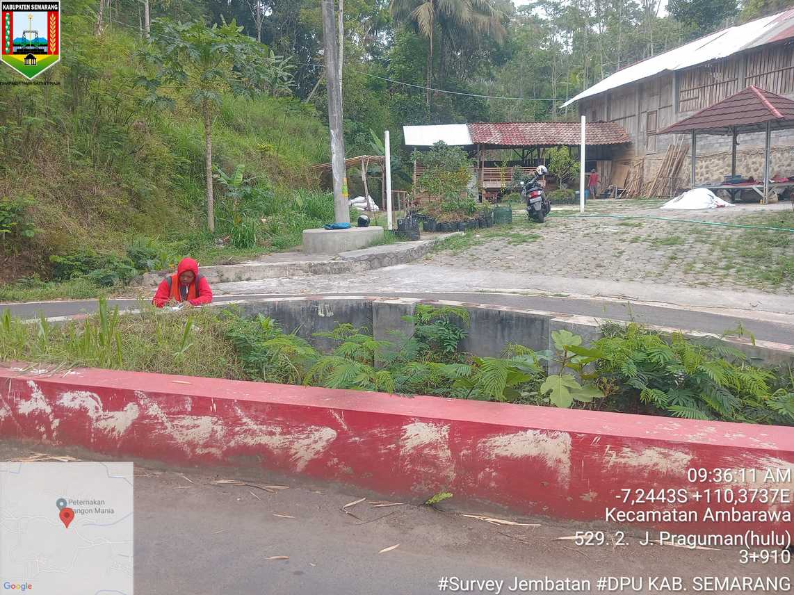Foto Tahun 2024