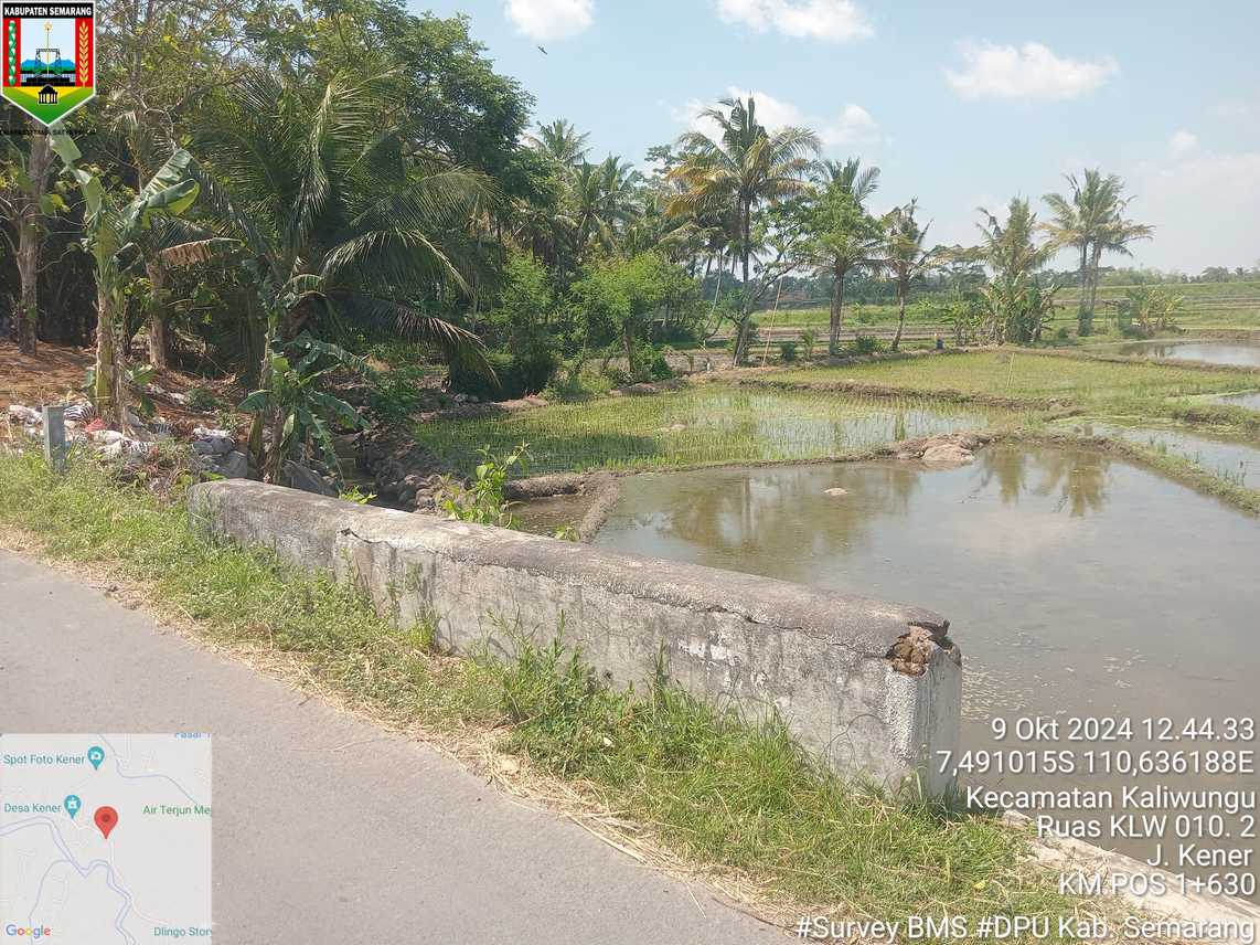 Foto Tahun 2024