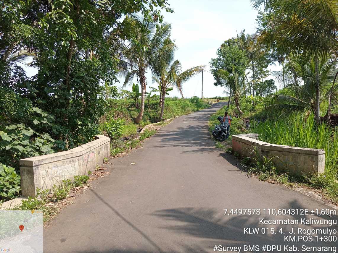 Foto Tahun 2024