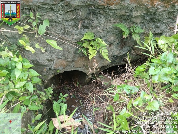 Foto Tahun 2025