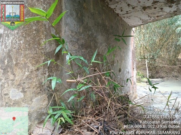 Foto Tahun 2025
