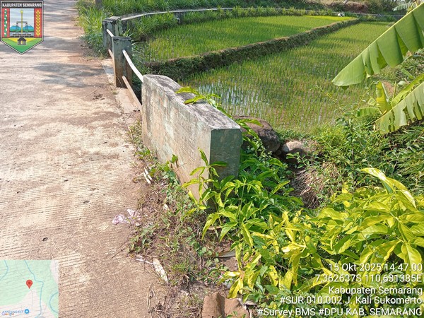 Foto Tahun 2025