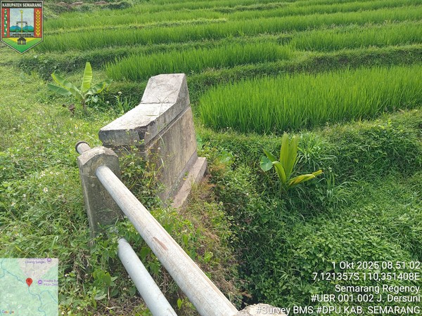 Foto Tahun 2025